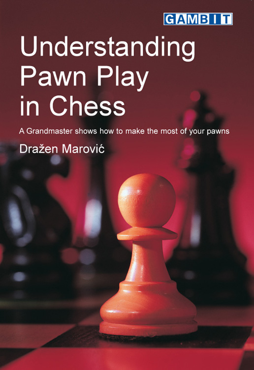 Pawn Play - Chess Lessons 