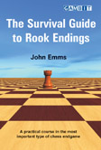 The Survival Guide to Rook Endings
