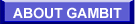 About Gambit Publications